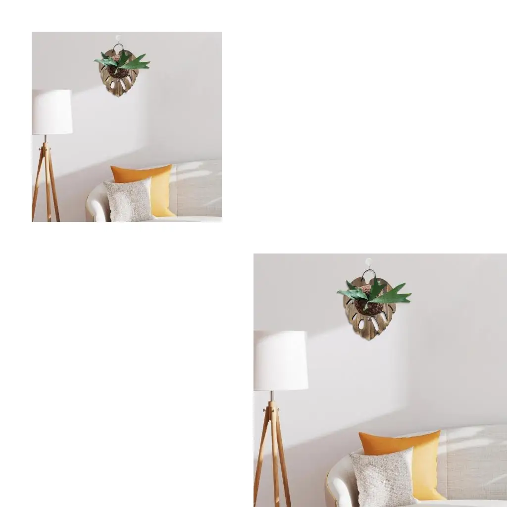  Wooden Plant Wall Mount Container Pot Holder For Epiphytes Simple Installation