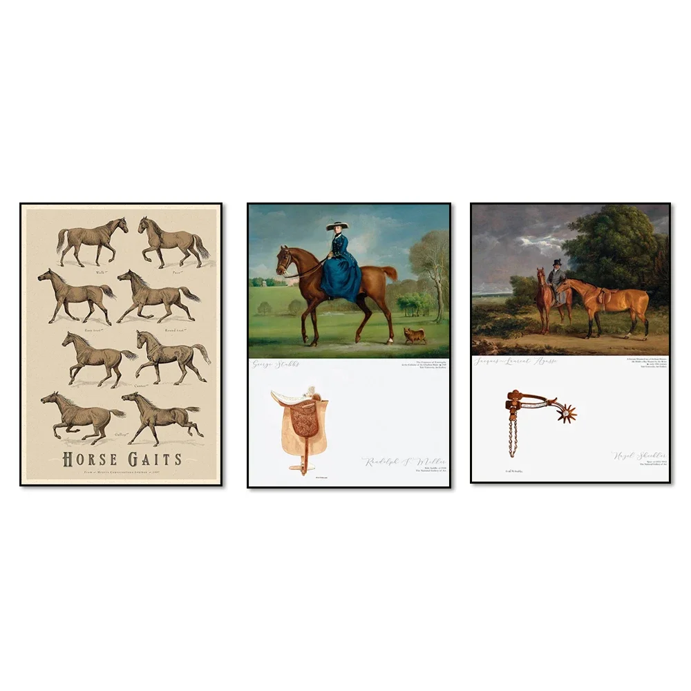 Vintage horse reproduction poster from an antique French horseback riding catalogue, Equestrian wall art, Horse lover gifts