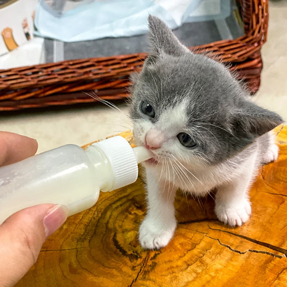 Botella de alimentación para mascotas, botella de alimentación para perros y gatos, para recién nacidos, cachorros, 50ml, 120ml