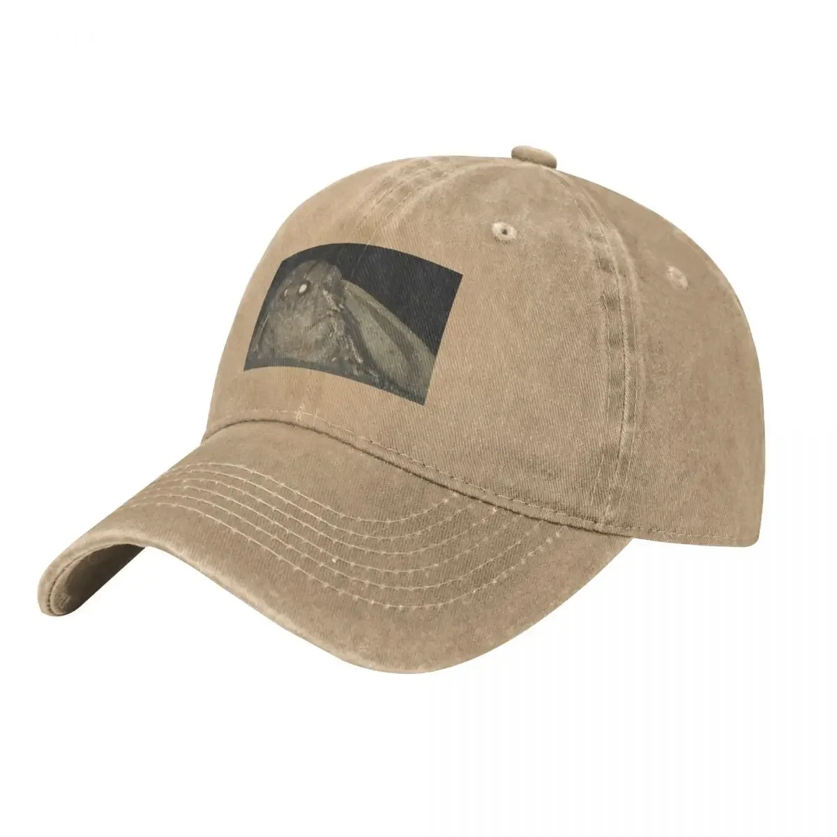 Moth meme Baseball Cap Snap Back Hat Uv Protection Solar Hat Golf Wear Golf Cap For Girls Men's
