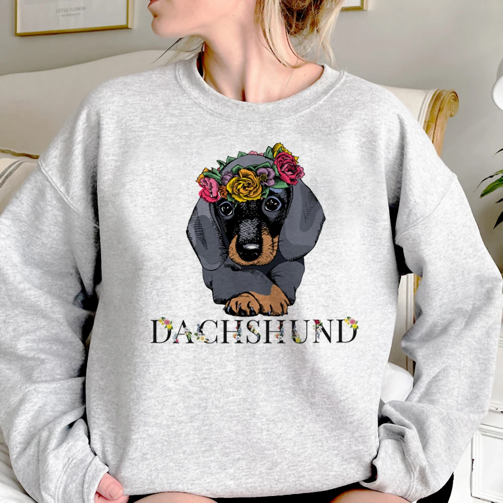 Dachshund-estilo dachshund