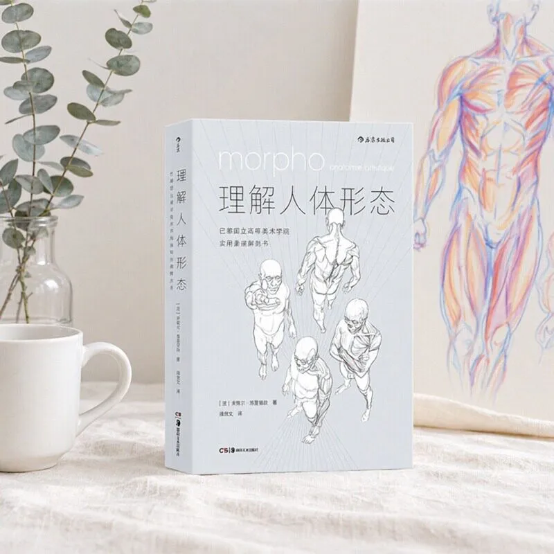Understand Human Form Drawing Tutorial Book Practical Sketch Anatomy Book,Human Body Structure Drawing Tutorial,Chinese Version