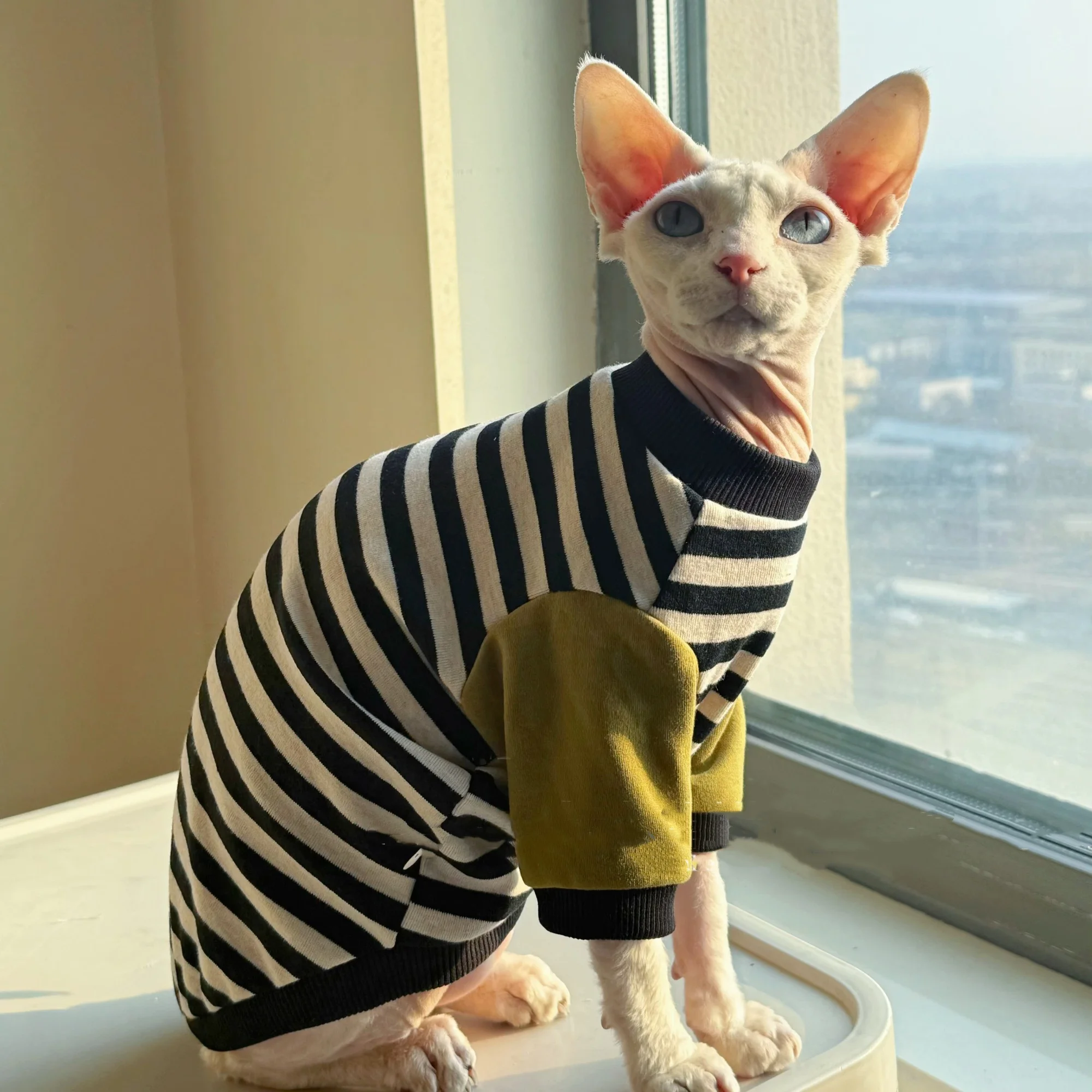 Classical Black-White Strips T-Shirt for Sphinx Cat Soft High Quality Cotton Coat For Devon Rex Clothing for Male Cats in Spring
