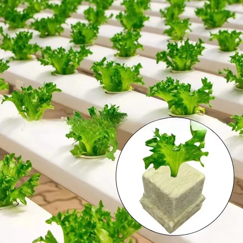 25x30 مللي متر نظام الزراعة المائية وعاء النبات بذور الصوف الحجري تنمو وسائل الإعلام مكعبات بدون تربة الركيزة الصوف الصخري التوصيل الشتلات كتلة