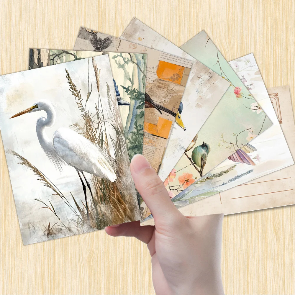 32pcs, natural style bird postcards, indoor bedroom decoration, wall stickers, message cards, greeting cards, commemorative image 3