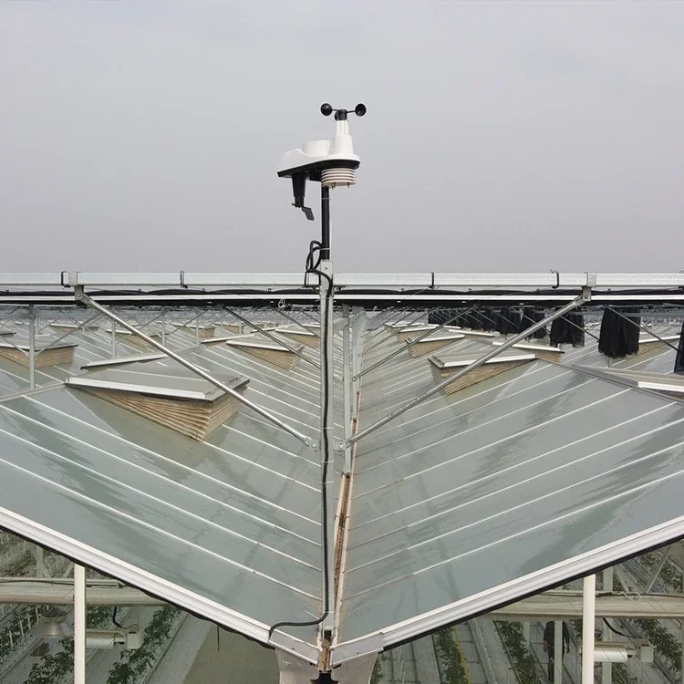 Greenhouse Intelligent Control System Three-element Sensor Forecast Wireless Automatic Greenhouse Weather Station