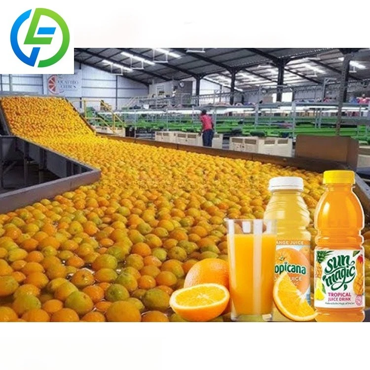 FOODLINE Family Orchard Juice Making Line Single Integrated Frame Stable Pomace Separation Small Farm Unit