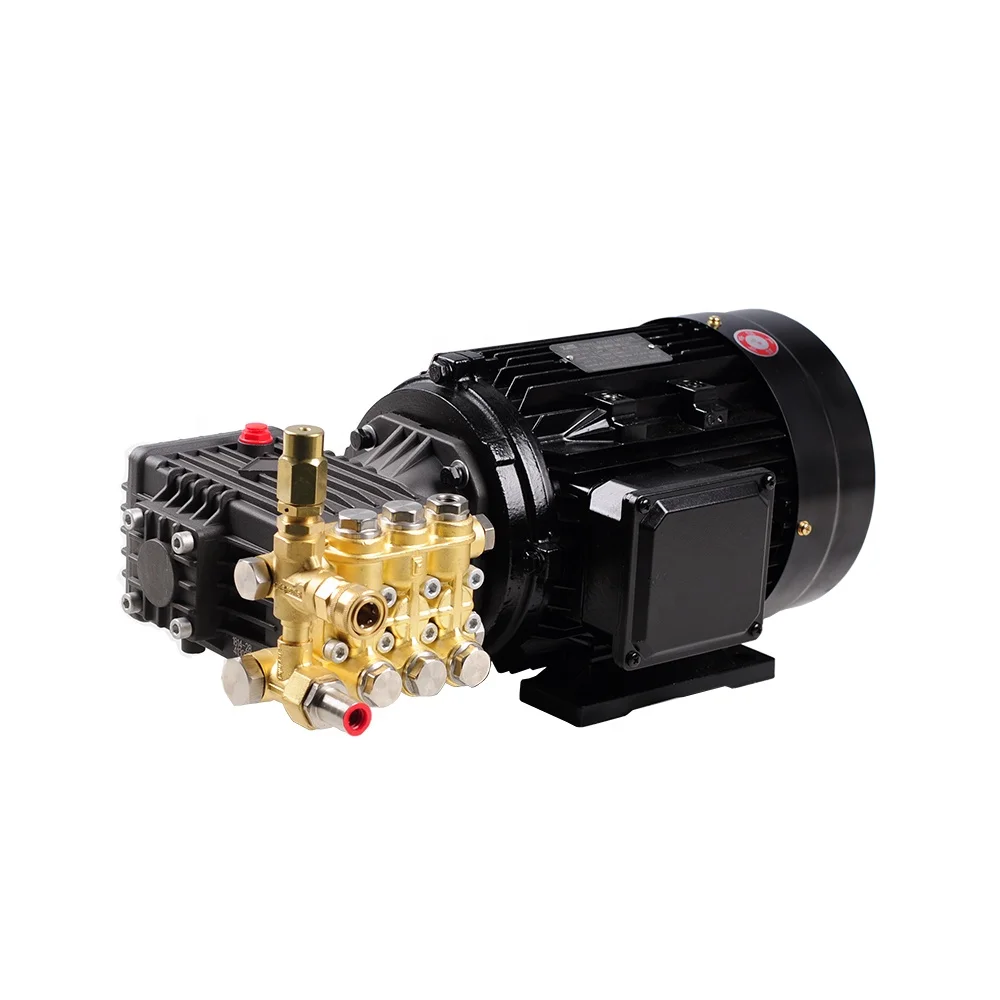 Factory Outlet High Pressure Washing Parts Motor Pump For Cleaning Car Washer Professional Pressure Washer Pump Accessories