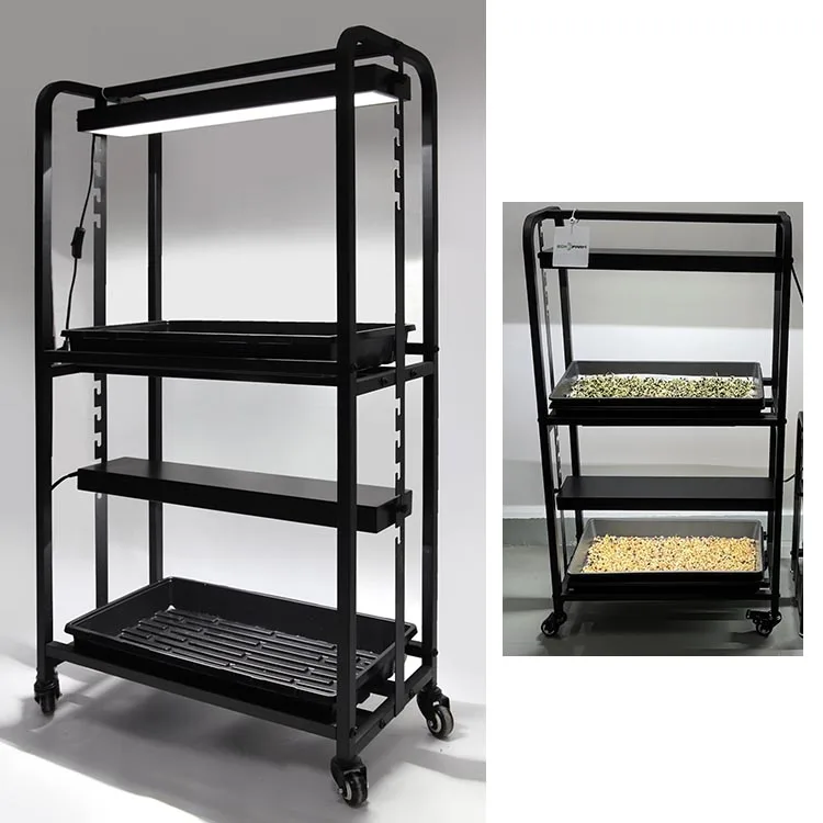 

Indoor Gardening Two Tray Wheatgrass Microgreens Growing System Racks Built In Wide Spectrum Grow Lights Plant Grow Stand
