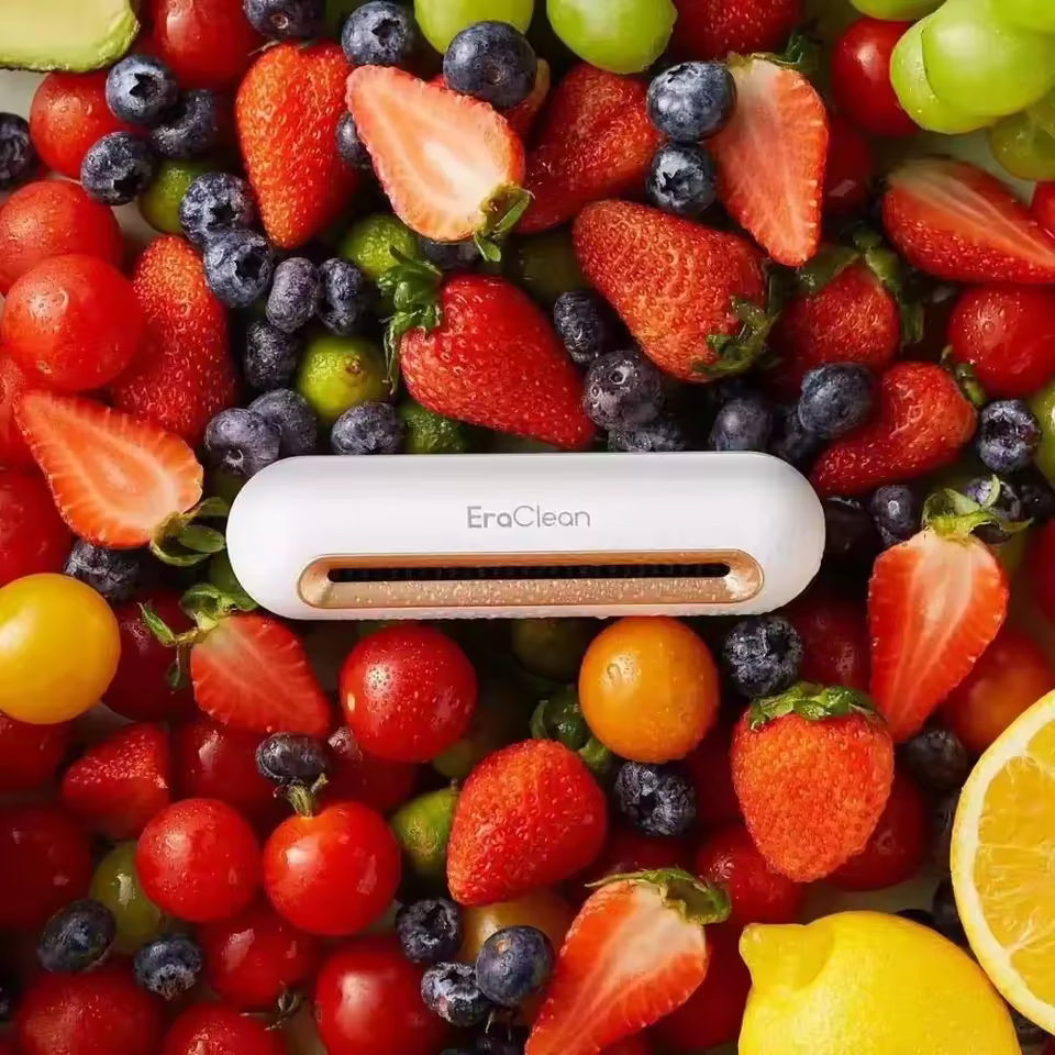 Xiaomi Youpin EraClean 냉장고 탈취제
