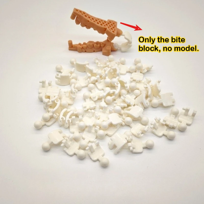 

100 шт. белая одноразовая рамка для зубного техника 3D - пластиковая стоматологическая модель, окклюзионные инструменты