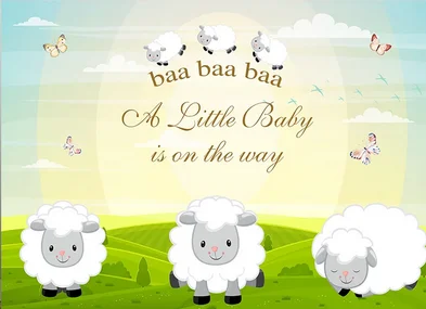 

7x5FT Personalized Baa Little Ship on The Way Baby Shower Garden Custom Photo Backgrounds Studio Backdrops Vinyl 220cm x 150cm