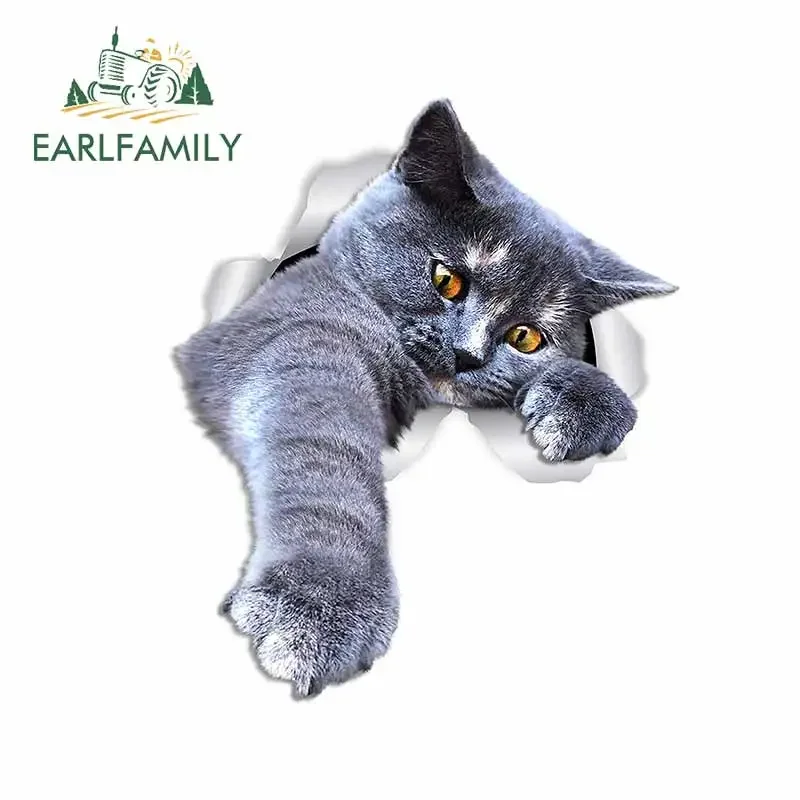 EARLFAMILY 13cm x 11cm For Grey Cat Vinyl Car Stickers Auto Air Conditioner Decal Fashion DIY Sunscreen For JDM SUV RV
