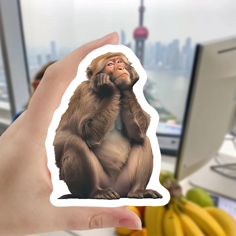 55pcs cute real monkey stickers new DIY unique animal accessories interesting mug car room sticker festival  gift accessory