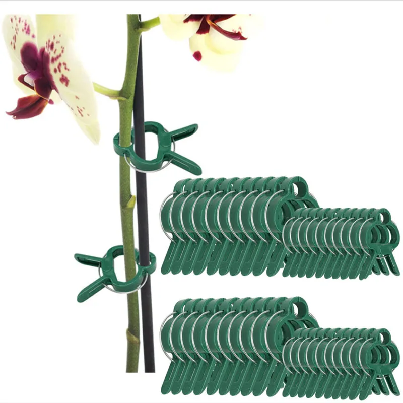 40/80pcs Garden Plant Clips 2 Size Reusable Plant Fixed Clips for Greenhous Vegetable Flowers Stem Vines Grape Clamp Fastener