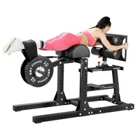 Reverse Leg Lift Gym Commercial Heavy Waist  Abdominal and Back Trainer Household Roman Chair Abdominal Muscle Stretching