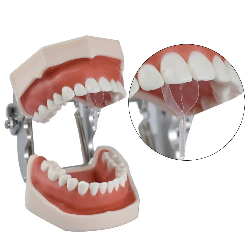 

Cross Section Matrix of Dental Transparent Film Forming Sheet Dental Proximal Double Front Polyester Dental Material