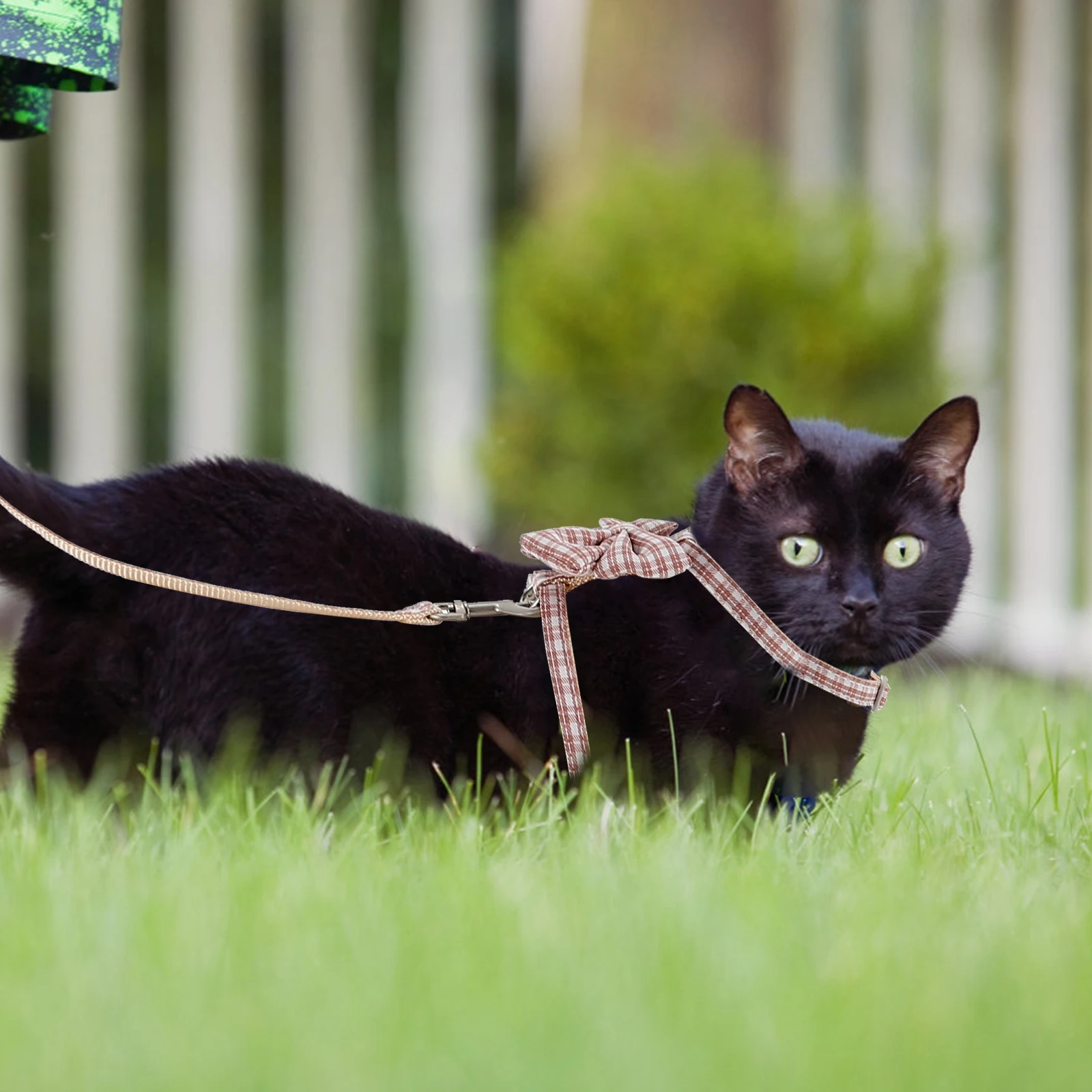 

1 Set Of Cat Harness With Leash Adjustable Traction Rope For Outdoor Walking Convenience