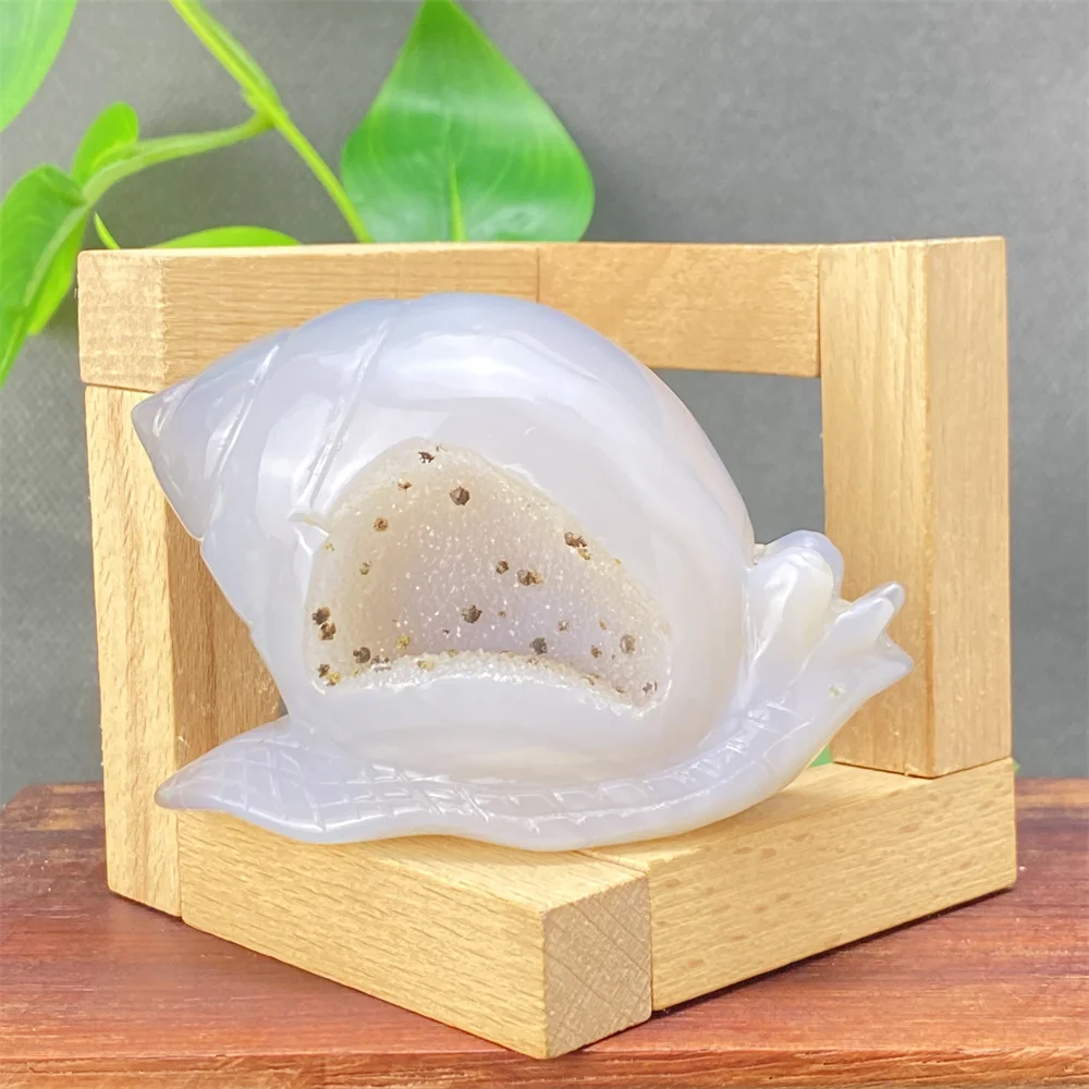 Natural Gemstone Carving Stone, Agate  Mollusc, Snail, Druzy  Quartz  Geode  Energy  Home Decorations  Reiki Healing