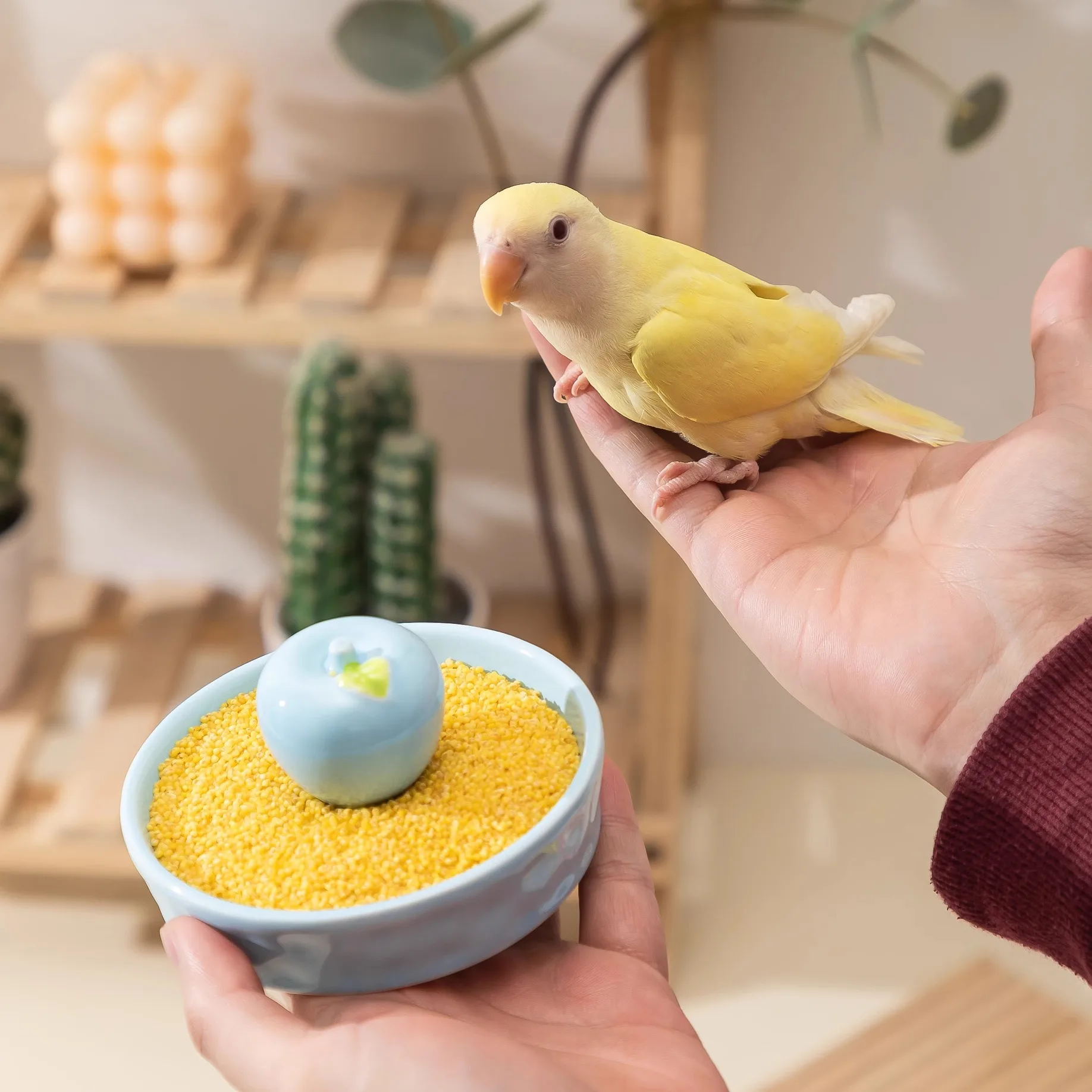Ceramic Bird Bowl Parrot Feeder Water Dish Anti Spill Container Cockatiel Baby Bird Learning Eat Cage Accessories Pet Supplies