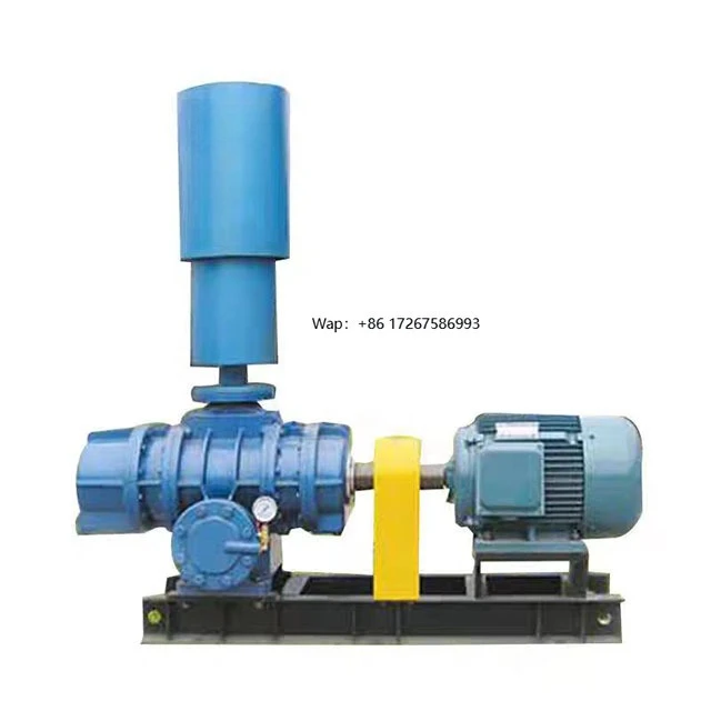 High Pressure Fish Shrimp Aquaculture Farms Aerator DC Electric Root Air Blower Pump Cast Iron Blades Factory Supplier Price