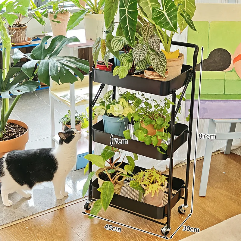 Floor Standing Plant Cart with Wheels Space Saver for Living Room Balcony Outdoor Plant Shelves Succulents And Begonias Stand