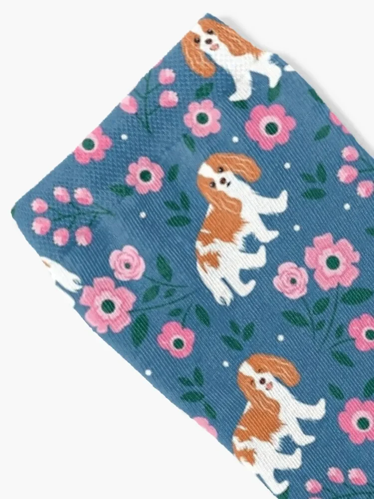 Blenheim Cavalier King Charles Spaniel Playing at Night in a Garden Socks ankle designer brand floor Woman Socks Men's