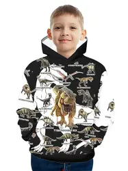 Dinosaur 3d Print Boys Casual Pullover Hooded Long Sleeve Sweatshirt For Spring Fall Kids Hoodie Tops Outdoor Children Clothing