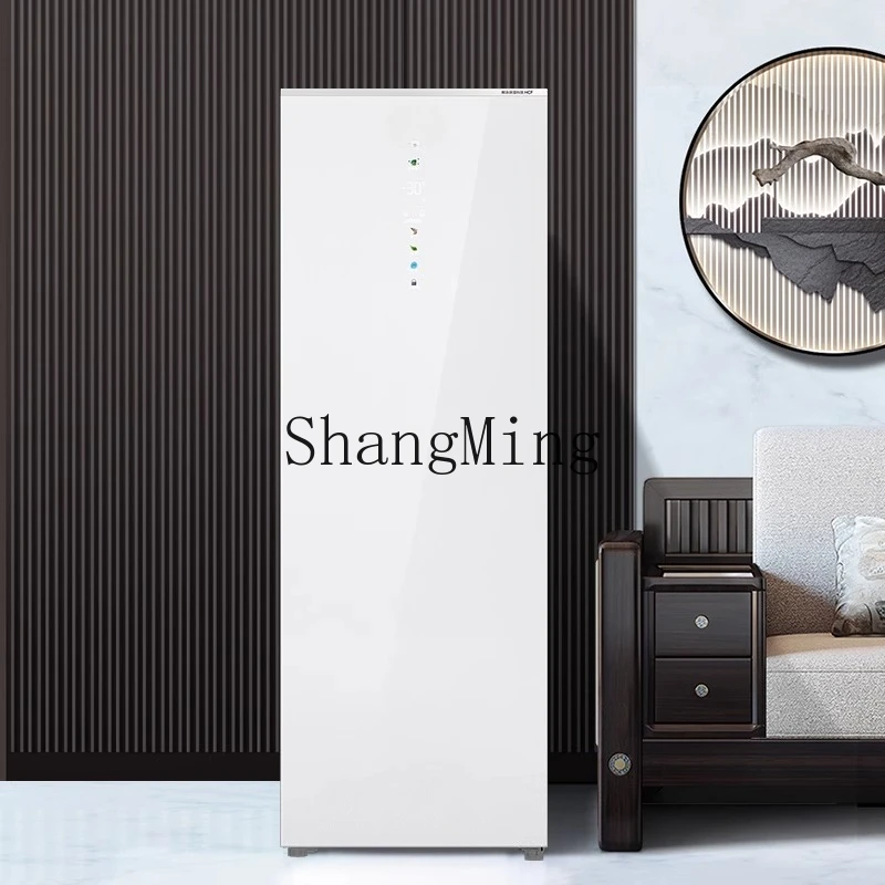 ZYY piccolo congelatore verticale ad alta efficienza energetica di prima classe raffreddato ad aria per uso domestico congelatore a conversione di frequenza commerciale