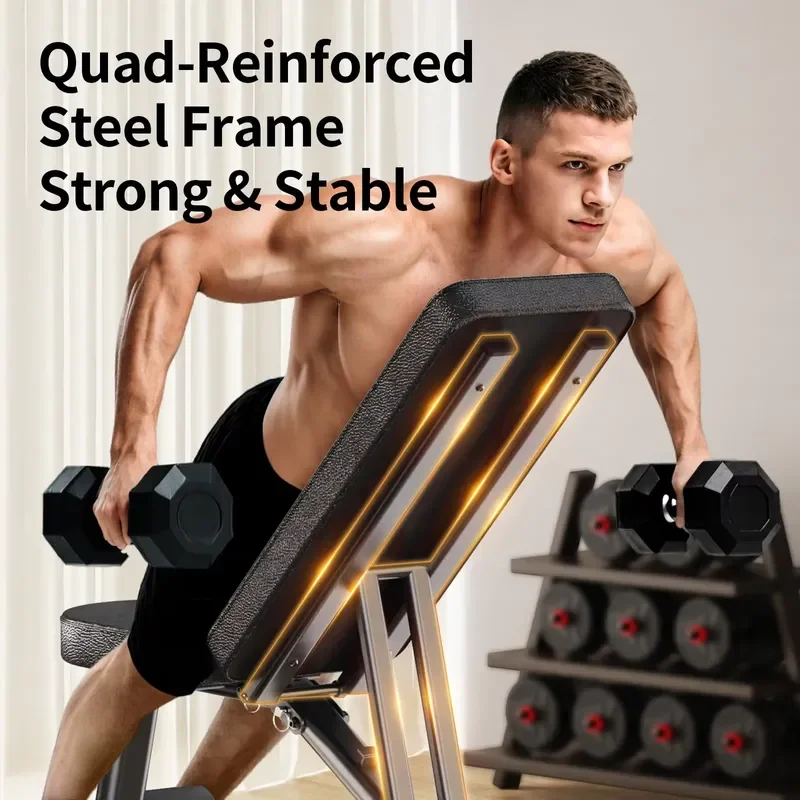Adjustable weight stool for home gyms, stable folding exercise stool for dumbbells and full body strength training