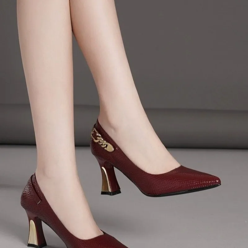 Basic Wine Snakeskin Leather Women Shoes Stiletto High Heels Pointy Toe Women Pumps Weddings Party Size 33-42 Shoes Woman image 5