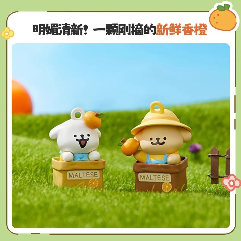 Рисунок 5 - MINISO мальтийский автомобиль