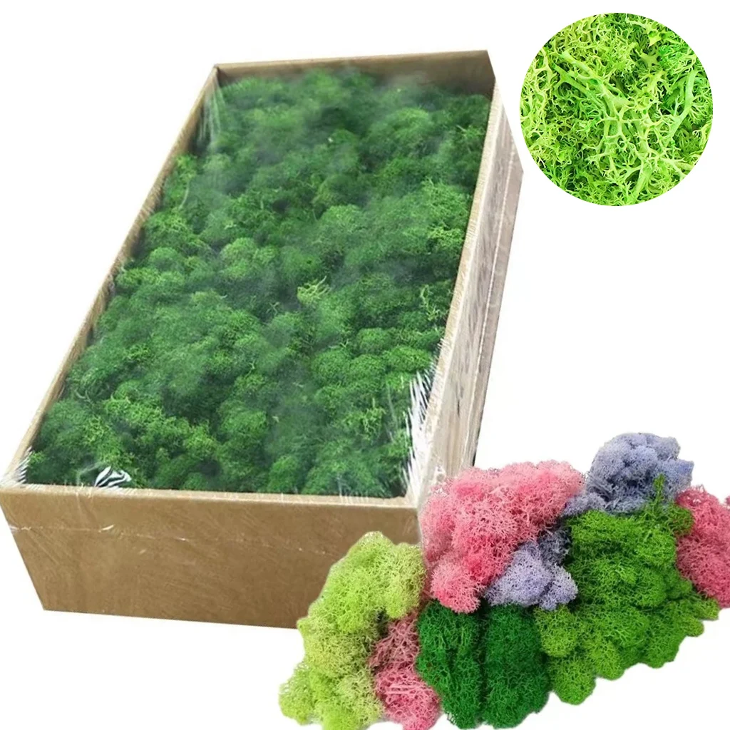 Mini 20/40g Artificial Green Plants Eternal Life Moss Grass Home Living Room Garden Decoration  Landscape Fake Grass DIY Crafts