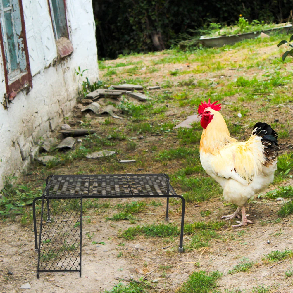 

2Pcs Chicken Coop Storage Rack Ladder Platform Rutin Chicken Cage Holder for Small Pets Farmhouse Rack Creative Platform