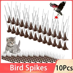 10Pcs Stainless Steel Bird Spikes Pigeon Repeller Cats Durable Deterrent  Anti for Fence Kit Roof Birds Squirrel Pest Control