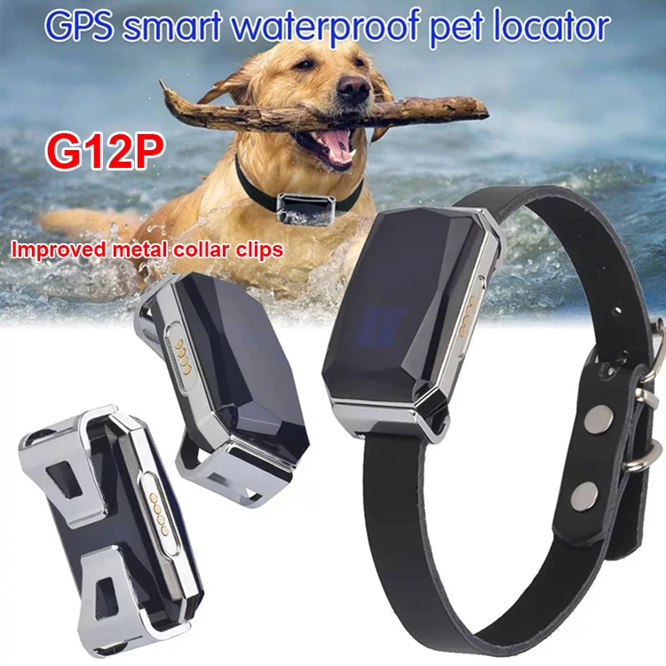 waterproof pet GPS tracker G12P with free leather collar support APP+Web+SMS tracking system for dog/cat