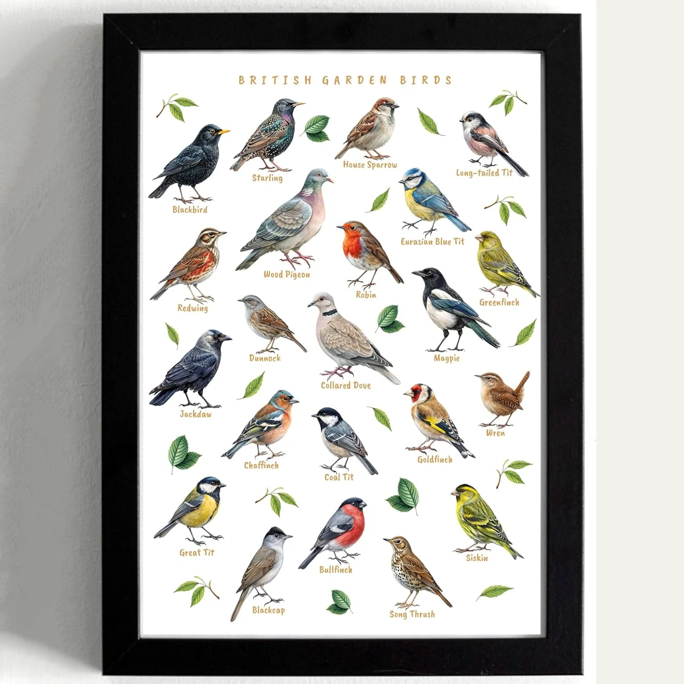 British Garden Birds Educational Wall Art Print Black Framed, Bird Species Identification Chart Nature Learning Poster for Kids