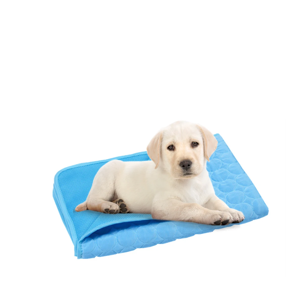 

Pet Ice Mat Cooling Waterproof Dog Summer Bed Pad for Dogs Products Blue Beds Cats