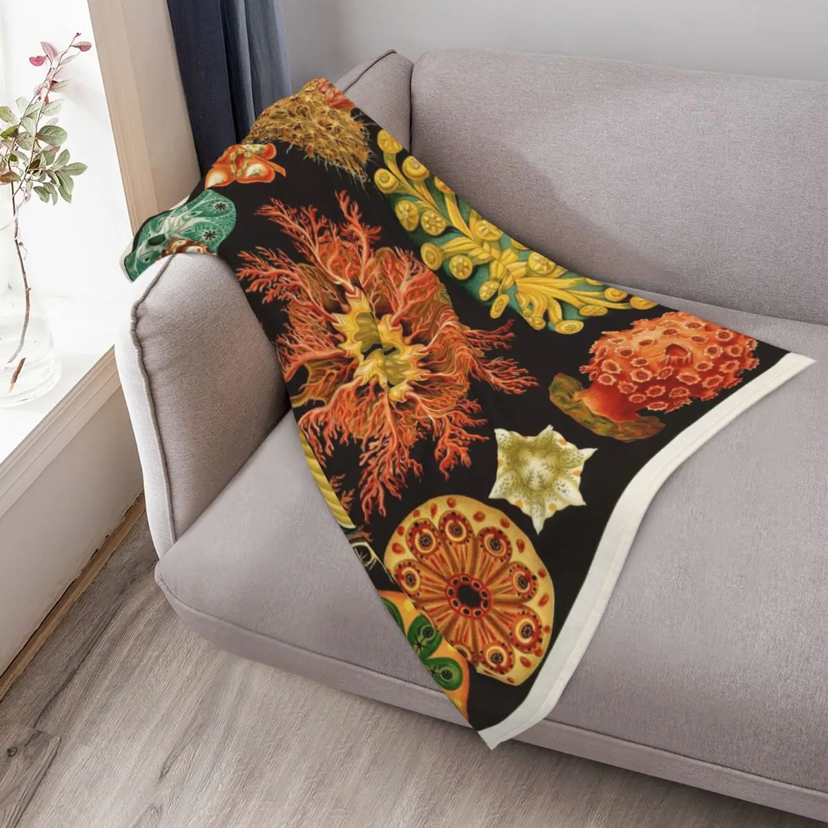 Ernst Haeckel - Ascidiae (Sea Squirts) - بطانية رمي توضيحية نباتية عتيقة للطفل بطانيات أريكة عملاقة ثقيلة #3