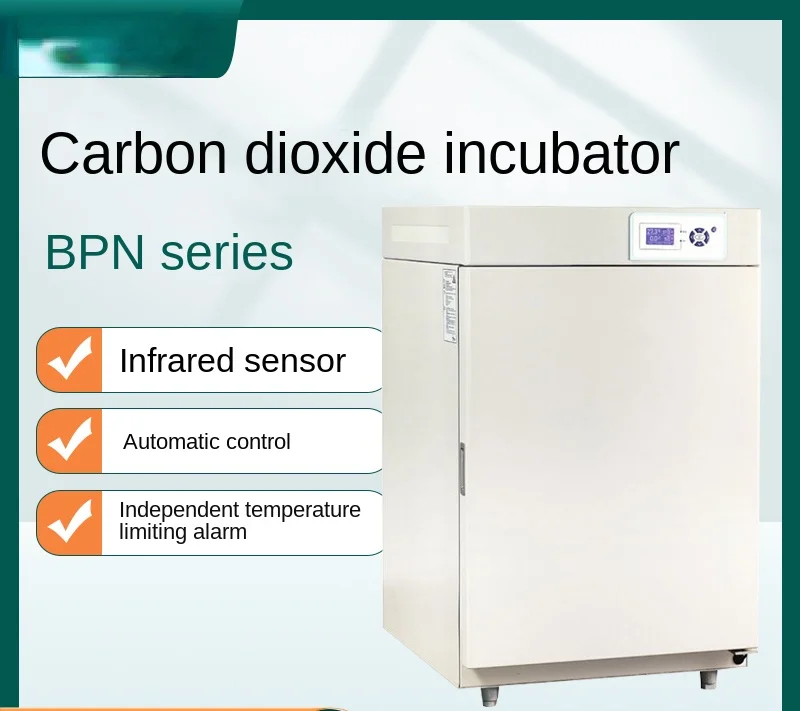 BPN-50CH/80CH/150CH(UV) carbon dioxide incubator