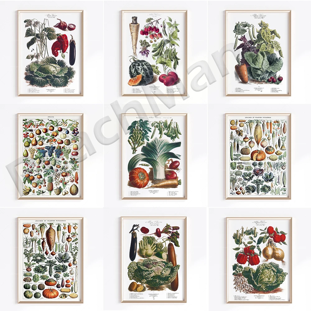 Vintage Vegetables (1909) Adolphe Millot Poster, Vegetables and Fruits Print, Antique French Poster Kitchen Decor, Botanical Art