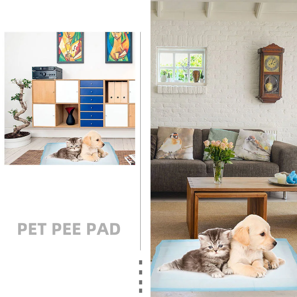 

40Pcs Pet Training Pad Skin-Friendly Surface Quick- for Dogs Cats Portable Indoor Potty Solution with Non-Slip Backing