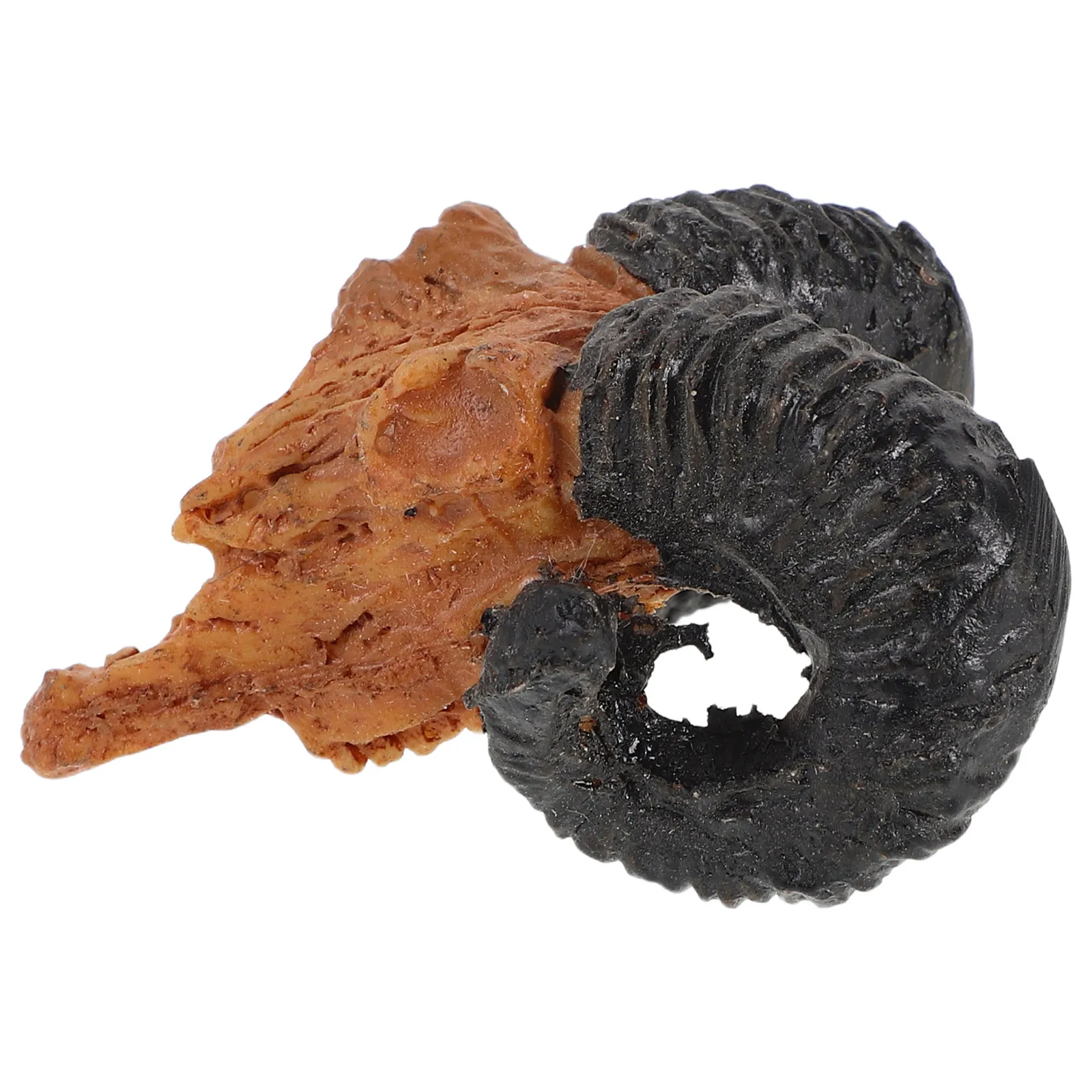 صغيرة الراتنج الماعز الجمجمة رؤساء المشهد الصغير الحيوان الجمجمة التماثيل لجميع القديسين عيد الميلاد الحرف ديكور جدار صغير الفن مايكرو #2