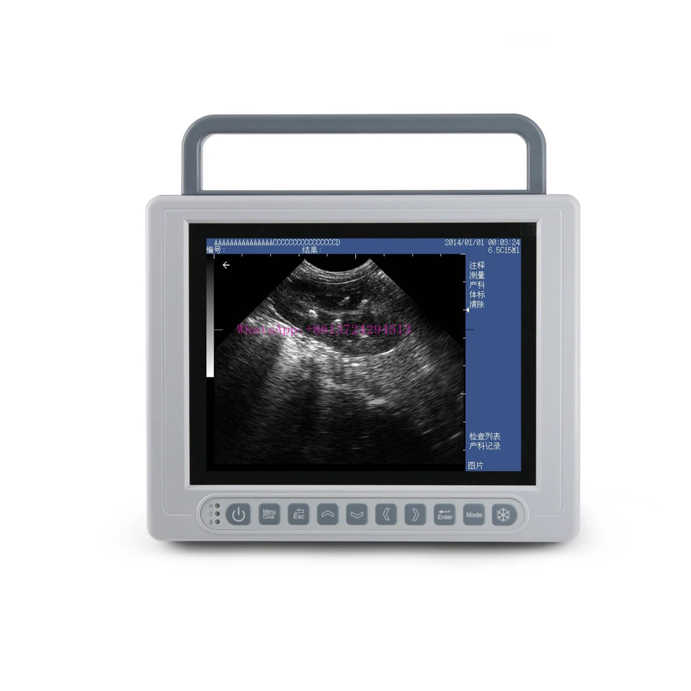 

Vet Veterinary Ultrasound Machine Black White Animals Ultrasound Equipment Touch Screen