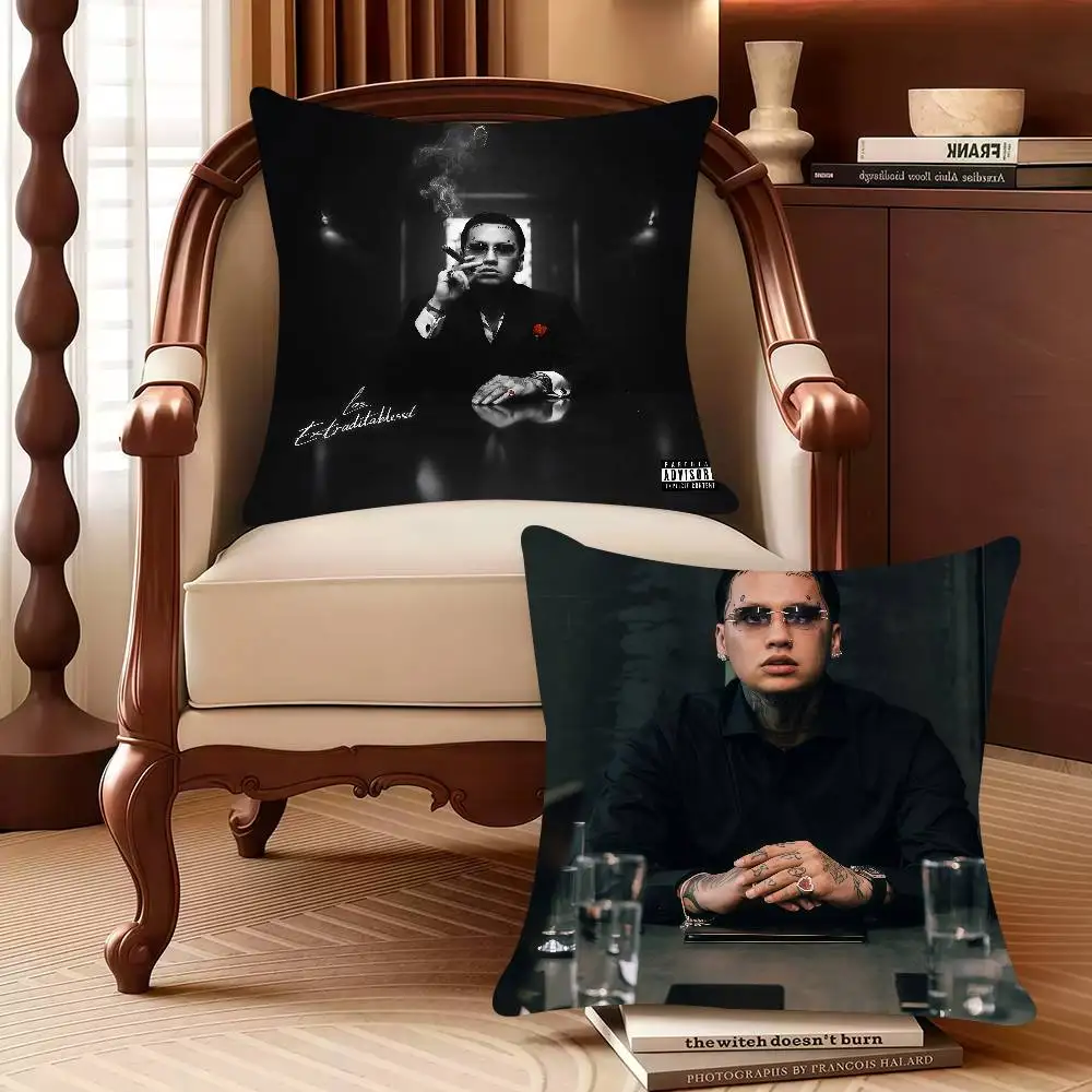 

B-Blessd EXTRADITABLESSD Pillow Case Decor Protective Covers Comfortable soft for Sofa Living Room Home office