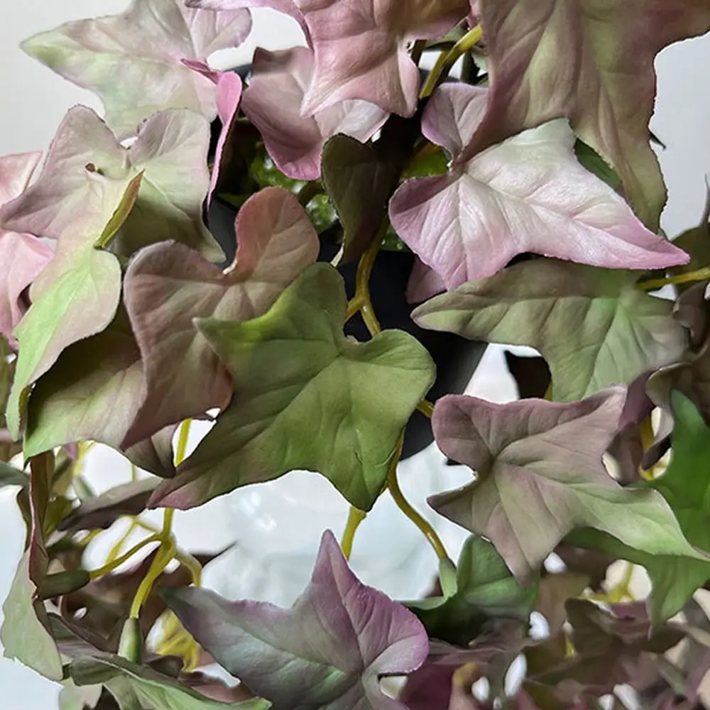 Bonsai Plants Soft …