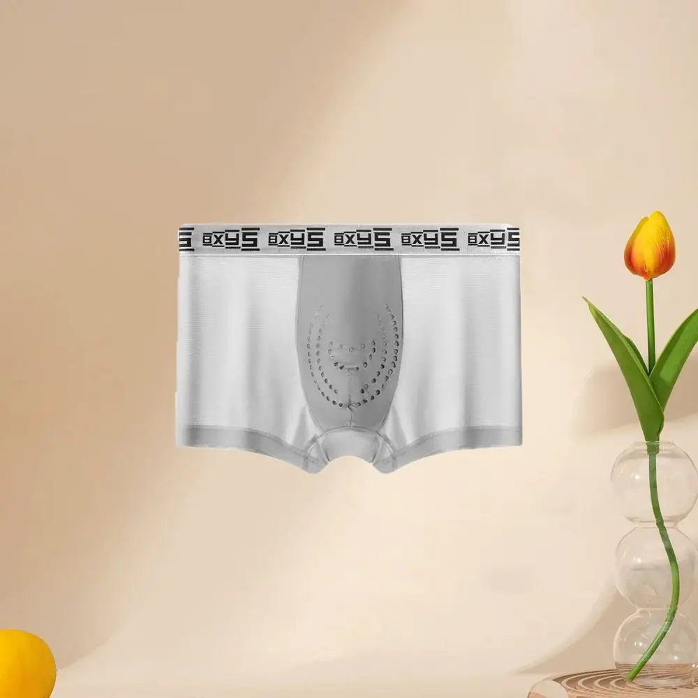 

3Pcs Simple Mesh Men's Flat Panties Mid Waist Ice Silk Seamless Briefs Traceless Underpants Underwear for Man Gift
