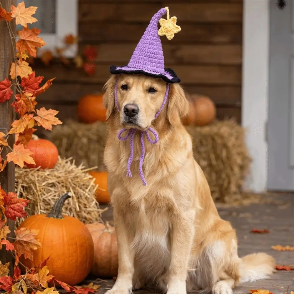 Adjustable Pet Halloween Star Hats Soft Breathable Pet Cosplay Hat Knitted Hat Decorative Cat Witch Hat Cosplay Performance