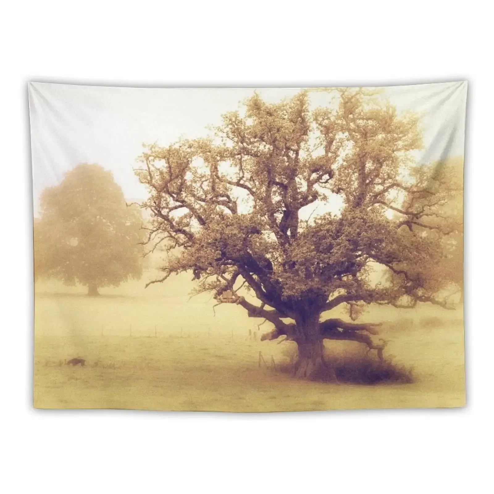 

The Mighty Oak Tapestry Room Decoration Korean Style Room Decorator Luxury Living Room Decoration Wallpapers Home Decor Tapestry