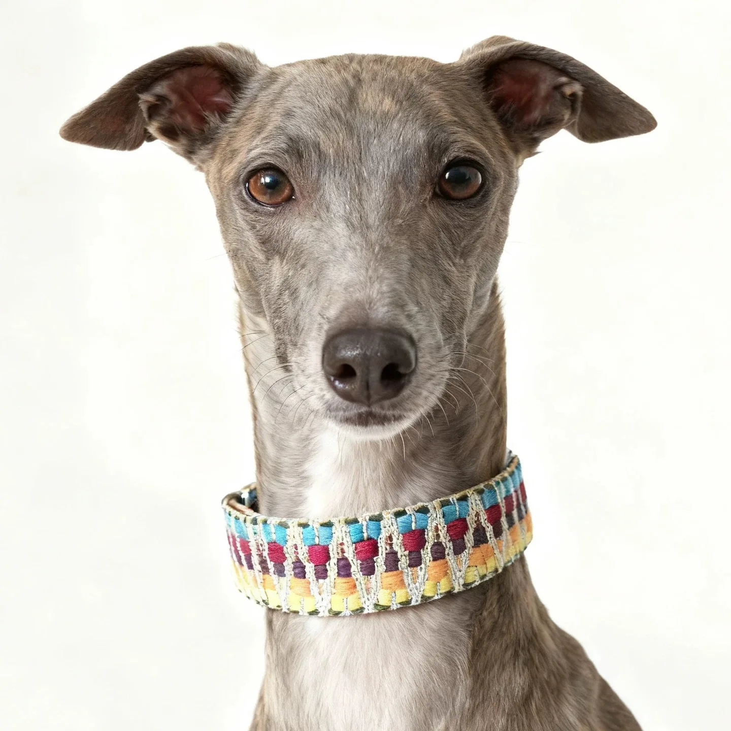 Bohemian Hand Woven Dog Collar 3.8CM Wide Genuine Leather dog collar Soft Cotton Webbing Heavy Duty Pet Walking Leash view 4